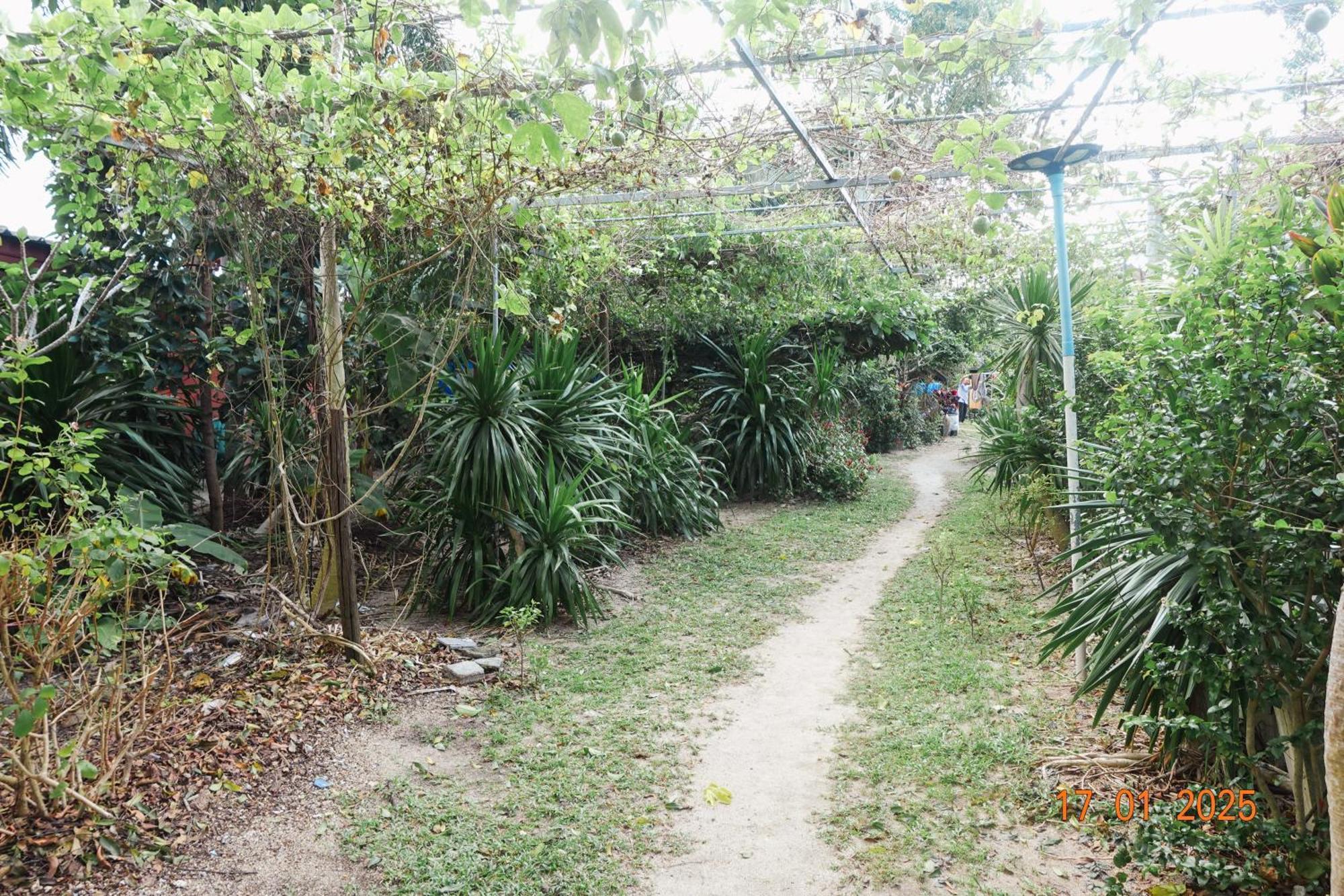 Subsavet Village Ko Pha Ngan Buitenkant foto