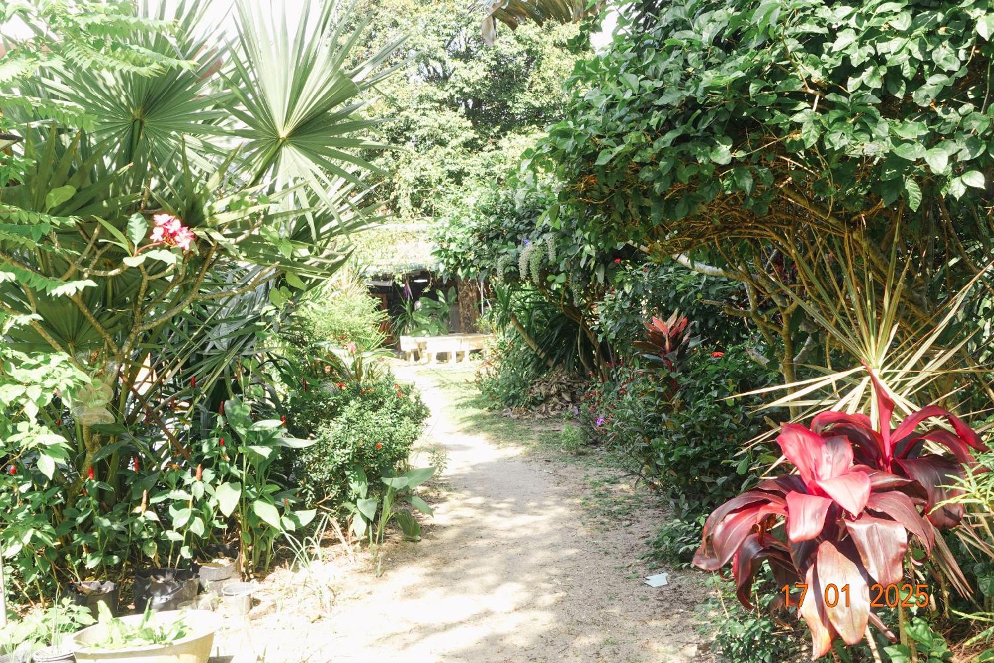 Subsavet Village Ko Pha Ngan Buitenkant foto