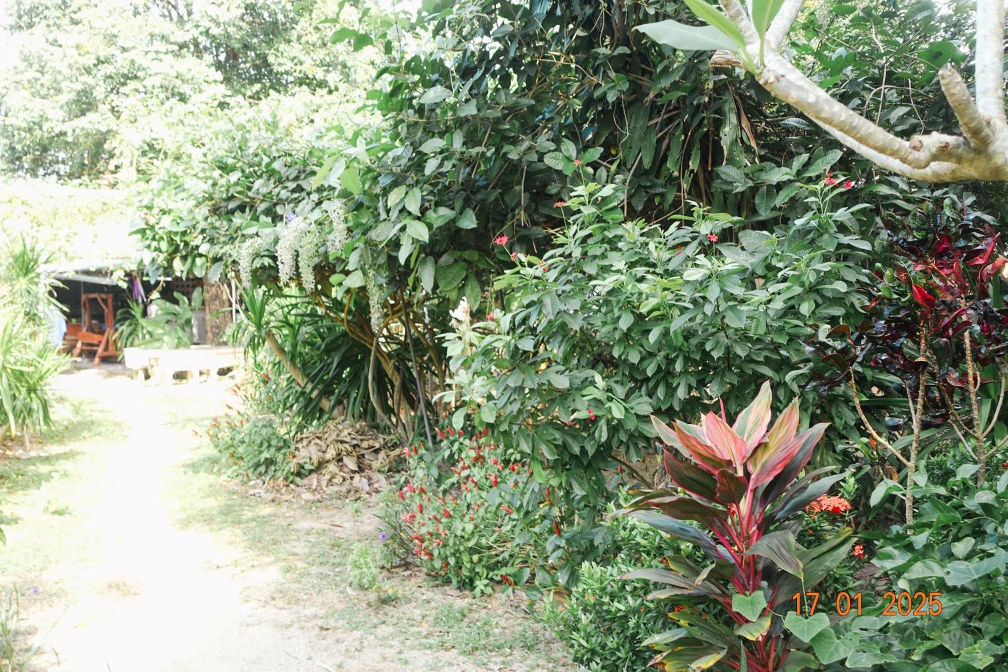Subsavet Village Ko Pha Ngan Buitenkant foto
